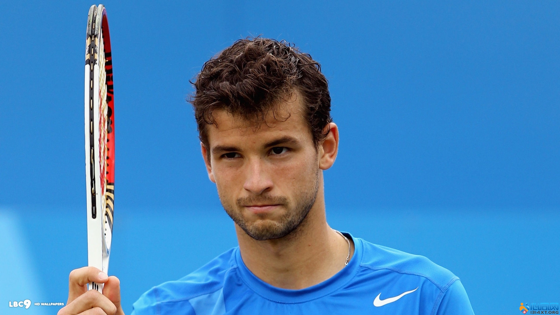 们提供了难 们提供了难